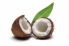 Масло дерева ши чокнутое или плод Karite белизна изолированная предпосылкой  Стоковое Фото - изображение насчитывающей вышесказанного, плодоовощ:  133934304